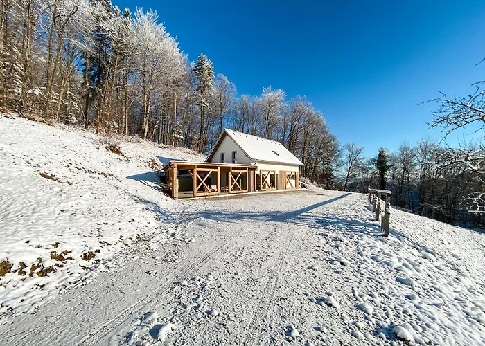 Koca Odmev Obolno * Ivancna Gorica